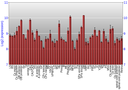 Expression graph