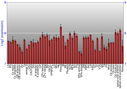 Expression graph