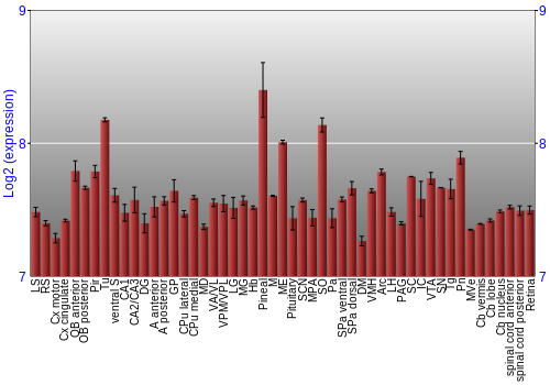 Expression graph