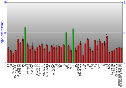Multi-state expression graph