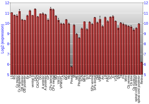 Expression graph