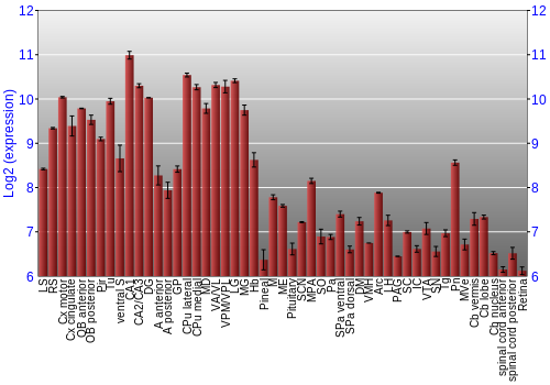 Expression graph