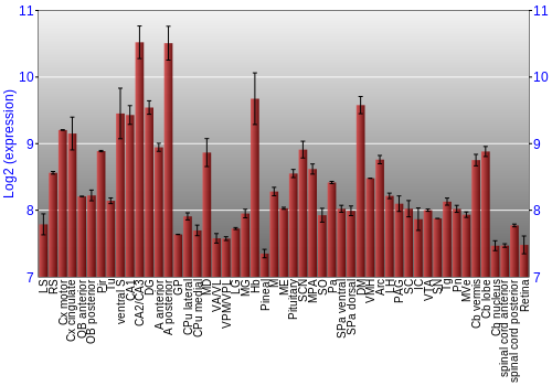 Expression graph
