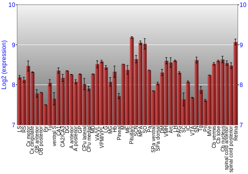 Expression graph