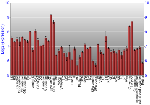 Expression graph