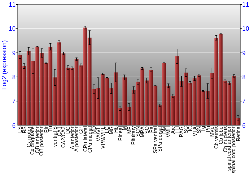 Expression graph
