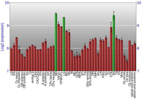 Multi-state expression graph