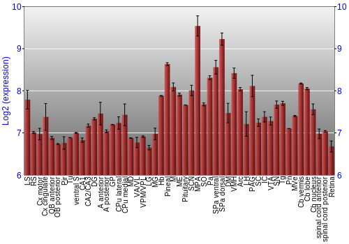 Expression graph