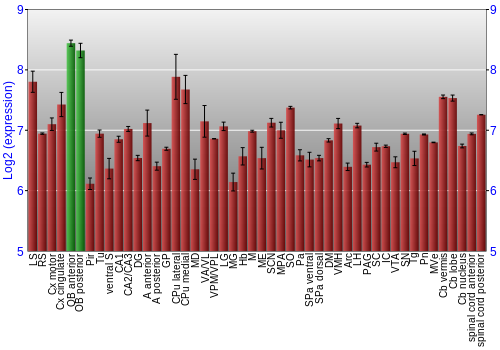Multi-state expression graph