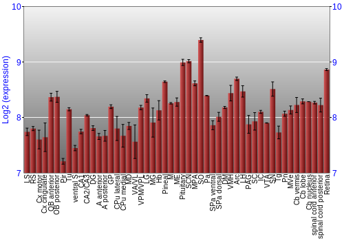 Expression graph