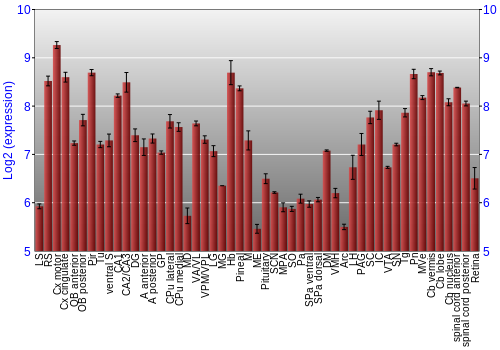Expression graph