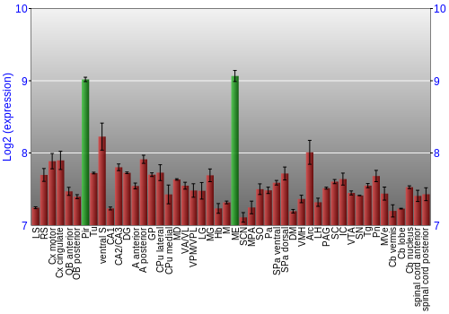 Multi-state expression graph