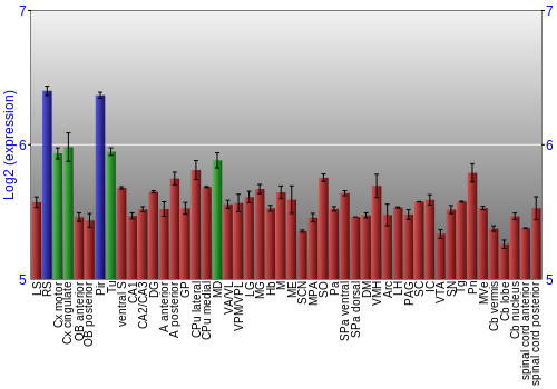 Multi-state expression graph