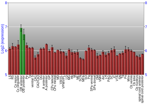Multi-state expression graph