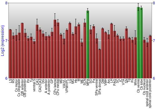Multi-state expression graph