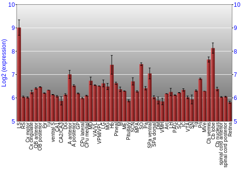 Expression graph