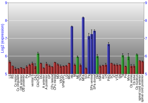 Multi-state expression graph