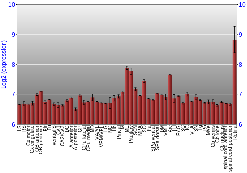Expression graph