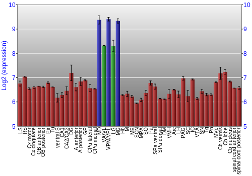 Multi-state expression graph