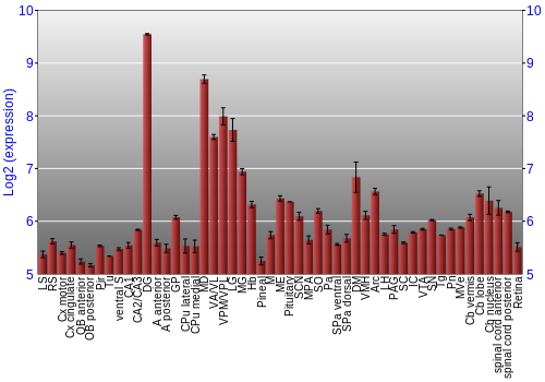Expression graph