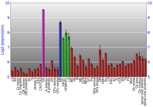 Multi-state expression graph
