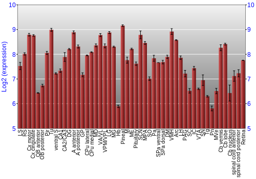 Expression graph