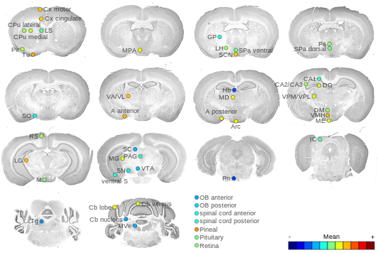 Expression map