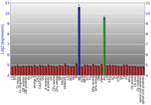 Multi-state expression graph