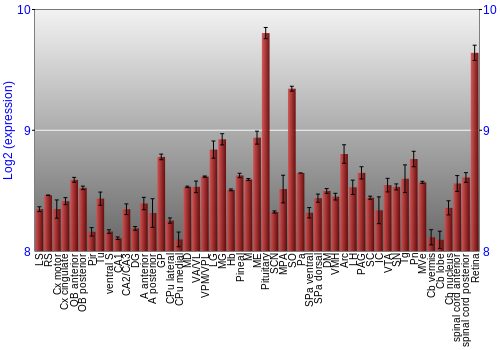 Expression graph