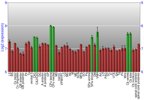 Multi-state expression graph
