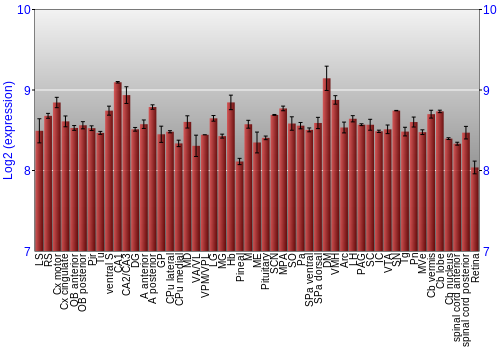 Expression graph