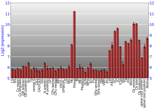 Expression graph