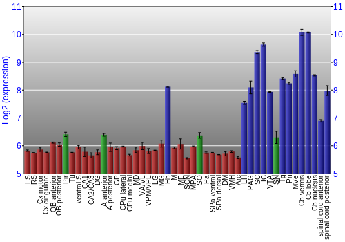 Multi-state expression graph