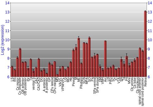 Expression graph