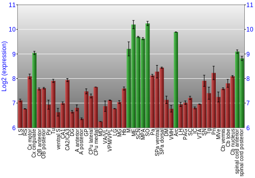 Multi-state expression graph