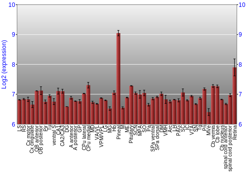Expression graph