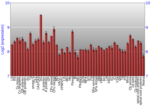 Expression graph