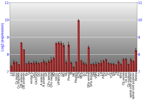 Expression graph