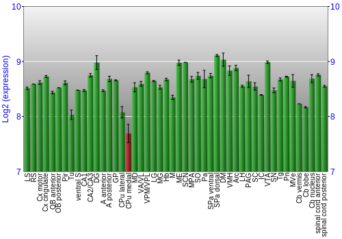 Multi-state expression graph