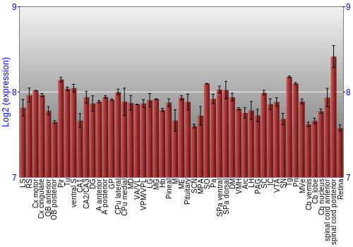Expression graph