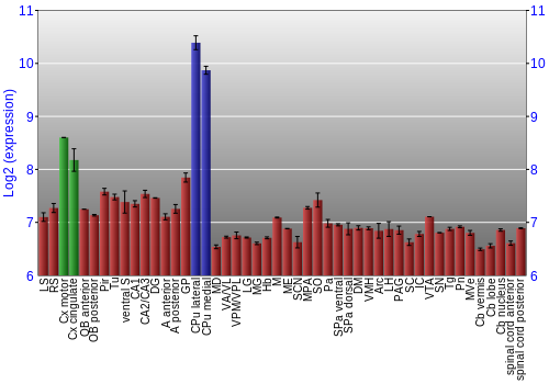 Multi-state expression graph