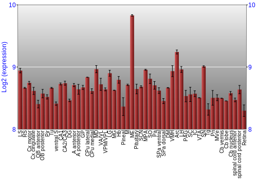 Expression graph
