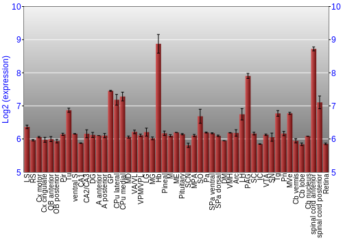 Expression graph