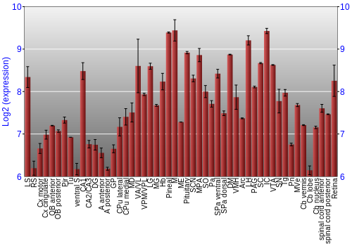 Expression graph