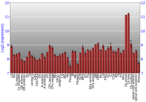 Expression graph