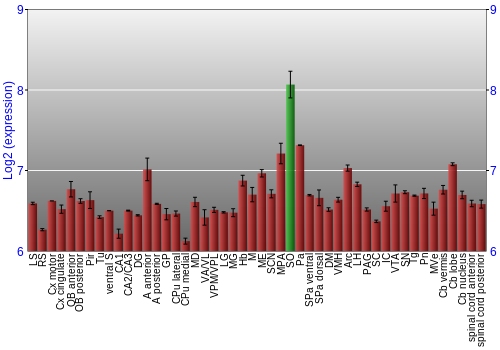 Multi-state expression graph