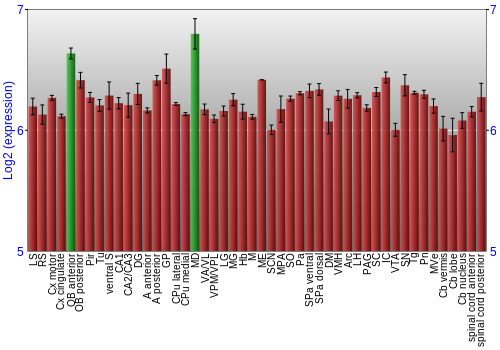 Multi-state expression graph