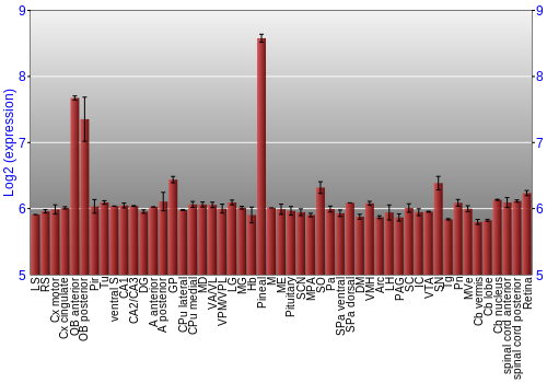 Expression graph