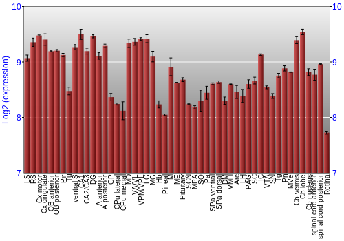 Expression graph