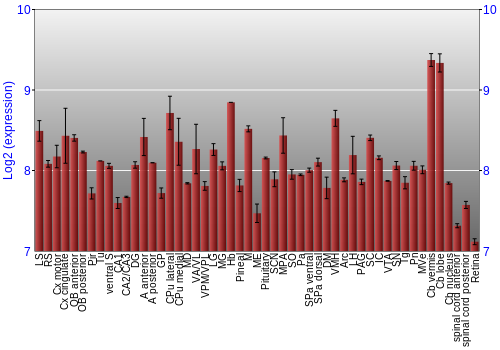 Expression graph